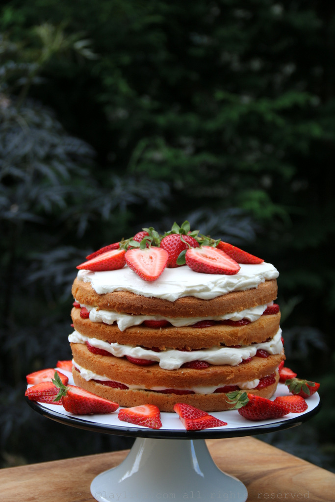 高高的草莓奶油蛋糕